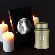 Custom Small Pet Urn for Hamsters - Laser Engraved - Fit up to 10lbs - Powder Coated Stainless Steel Urn