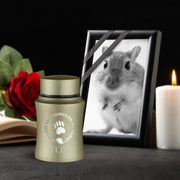 Custom Small Pet Urn for Gerbils - Laser Engraved - Fit up to 10lbs - Powder Coated Stainless Steel Urn