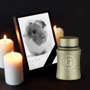 Custom Small Pet Urn for Guinea Pigs - Laser Engraved - Fit up to 10lbs - Powder Coated Stainless Steel Urn