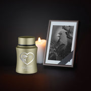 Custom Small Pet Urn for Brids - Laser Engraved - Fit up to 10lbs - Powder Coated Stainless Steel Urn