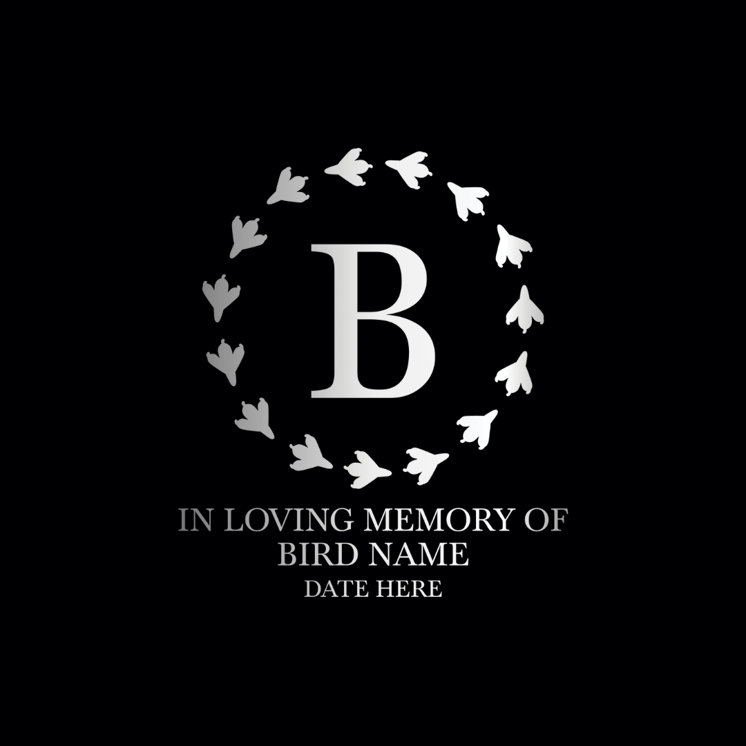 Personalized Small Keepsake Urn Engraved with Pet Name, Date, and Bird Design - 5.2" Black Powder Coated Steel Cremation Urn for Bird Memorial Ashes |12-16 lb Capacity, Bird Foot Print Circular Frame