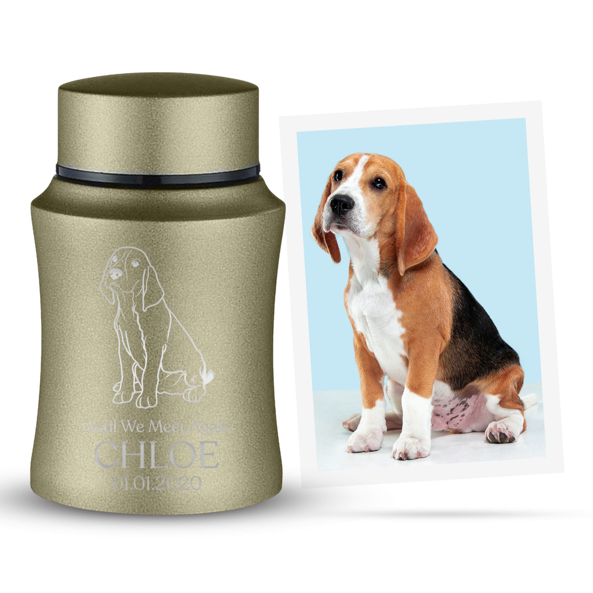 Custom Engraved Pet Photo/Image Pet Memorial Urn - Personalized with Pet Name, Date, and Dog Image - 4" Powder Coated Steel Cremation Mini Compact Urn for Dogs Ashes, Washed Gold | 5–10 Lbs Capacity