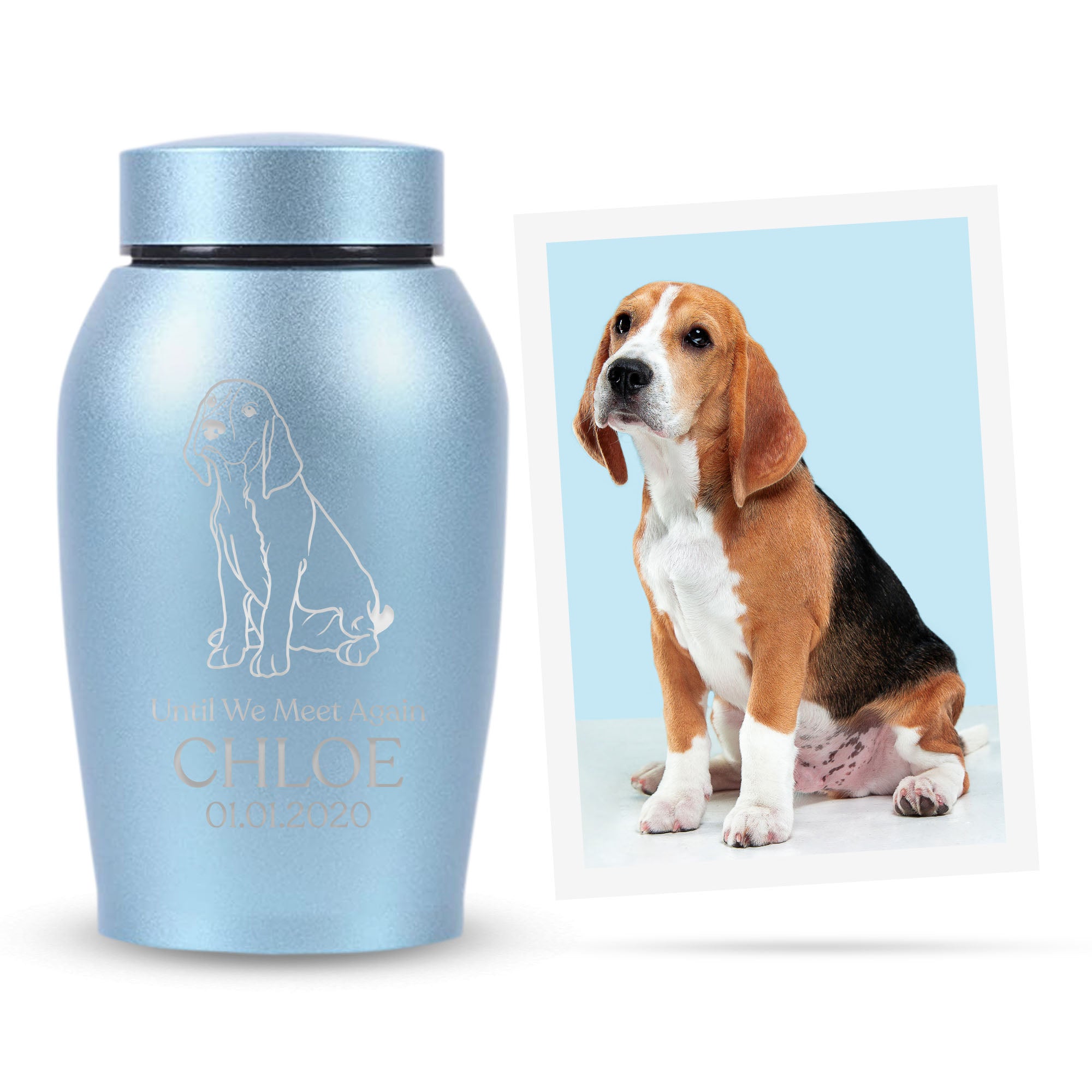 Custom Engraved Pet Memorial Urn: Personalized with Your Pet Photo/Image and Name - Stainless Steel Cremation Urns for Dogs Ashes with Airtight Closure, Up to 50 Lbs Capacity | Powder Blue, 7" x 5"