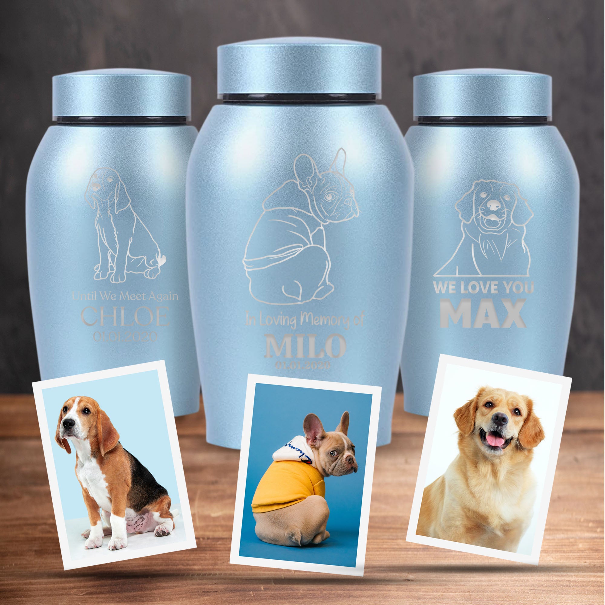 Custom Engraved Pet Memorial Urn: Personalized with Your Pet Photo/Image and Name - Stainless Steel Cremation Urns for Dogs Ashes with Airtight Closure, Up to 50 Lbs Capacity | Powder Blue, 7" x 5"