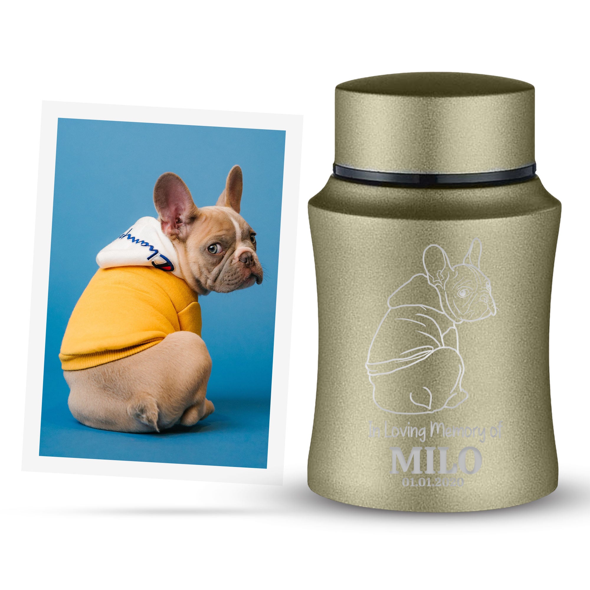 Custom Engraved Pet Photo/Image Pet Memorial Urn - Personalized with Pet Name, Date, and Dog Image - 4" Powder Coated Steel Cremation Mini Compact Urn for Dogs Ashes, Washed Gold | 5–10 Lbs Capacity