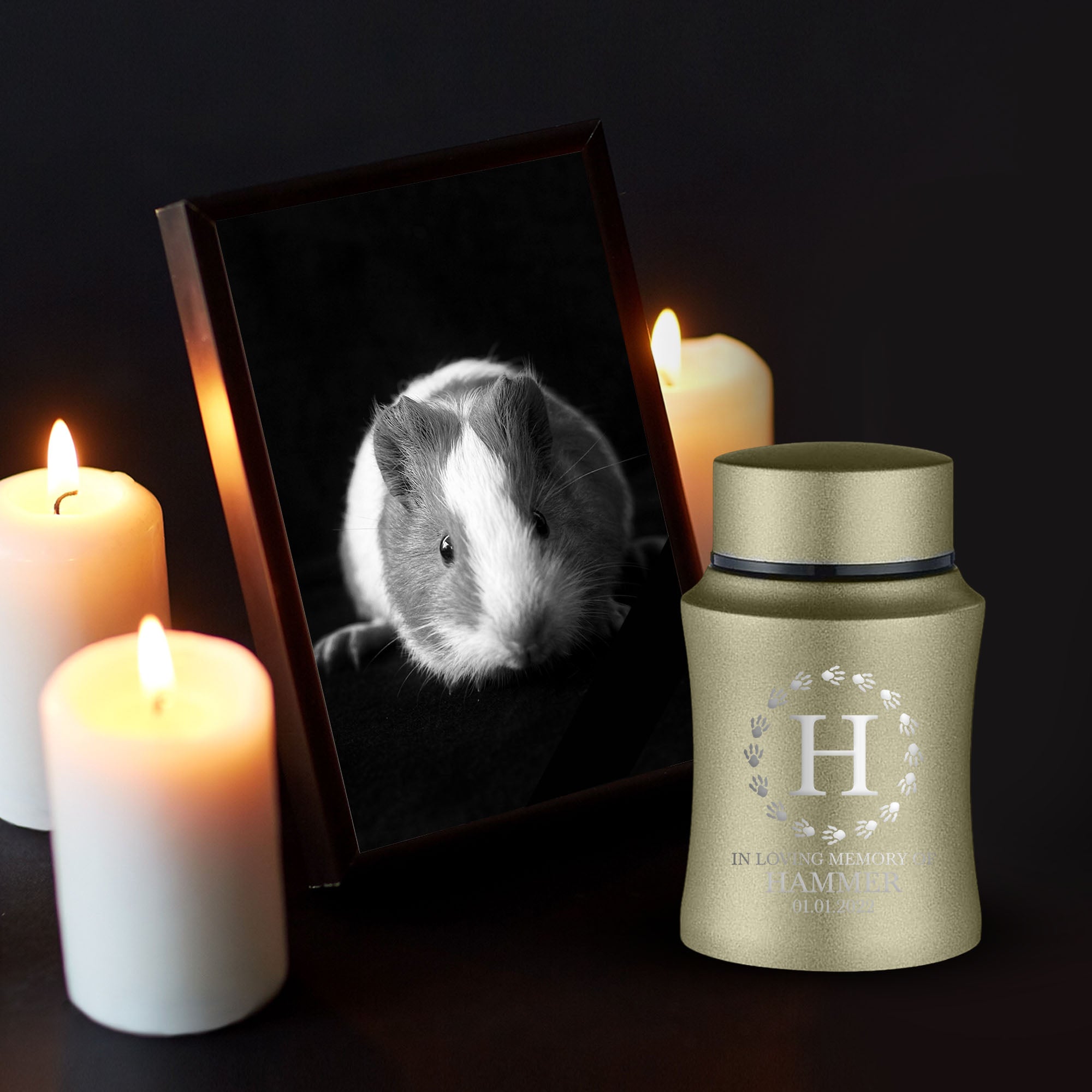Custom Small Pet Urn for Hamsters - Laser Engraved - Fit up to 10lbs - Powder Coated Stainless Steel Urn