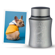 Custom Small Arc Pet Urn with Photo - Stainless Steel Urn - Powder Coated Finish - Cubic Inch