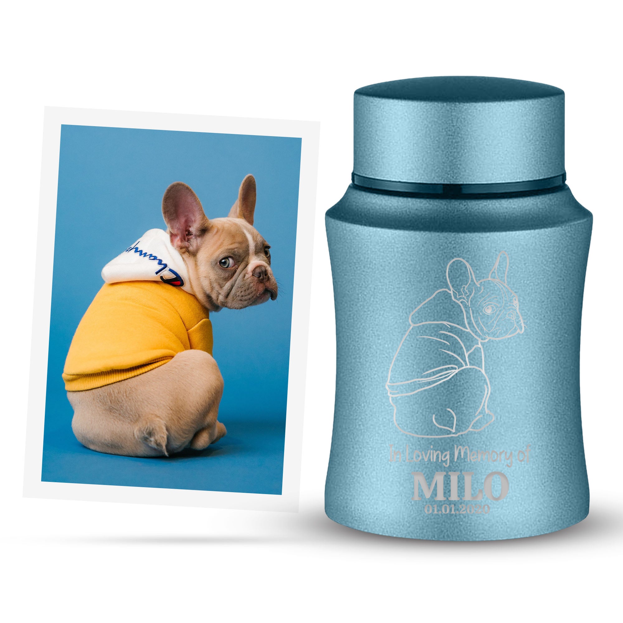 Custom Engraved Pet Photo/Image Pet Memorial Urn - Personalized with Pet Name, Date, and Dog Image - 4" Powder Coated Steel Cremation Mini Compact Urn for Dogs Ashes, Powder Blue | 5–10 Lbs Capacity