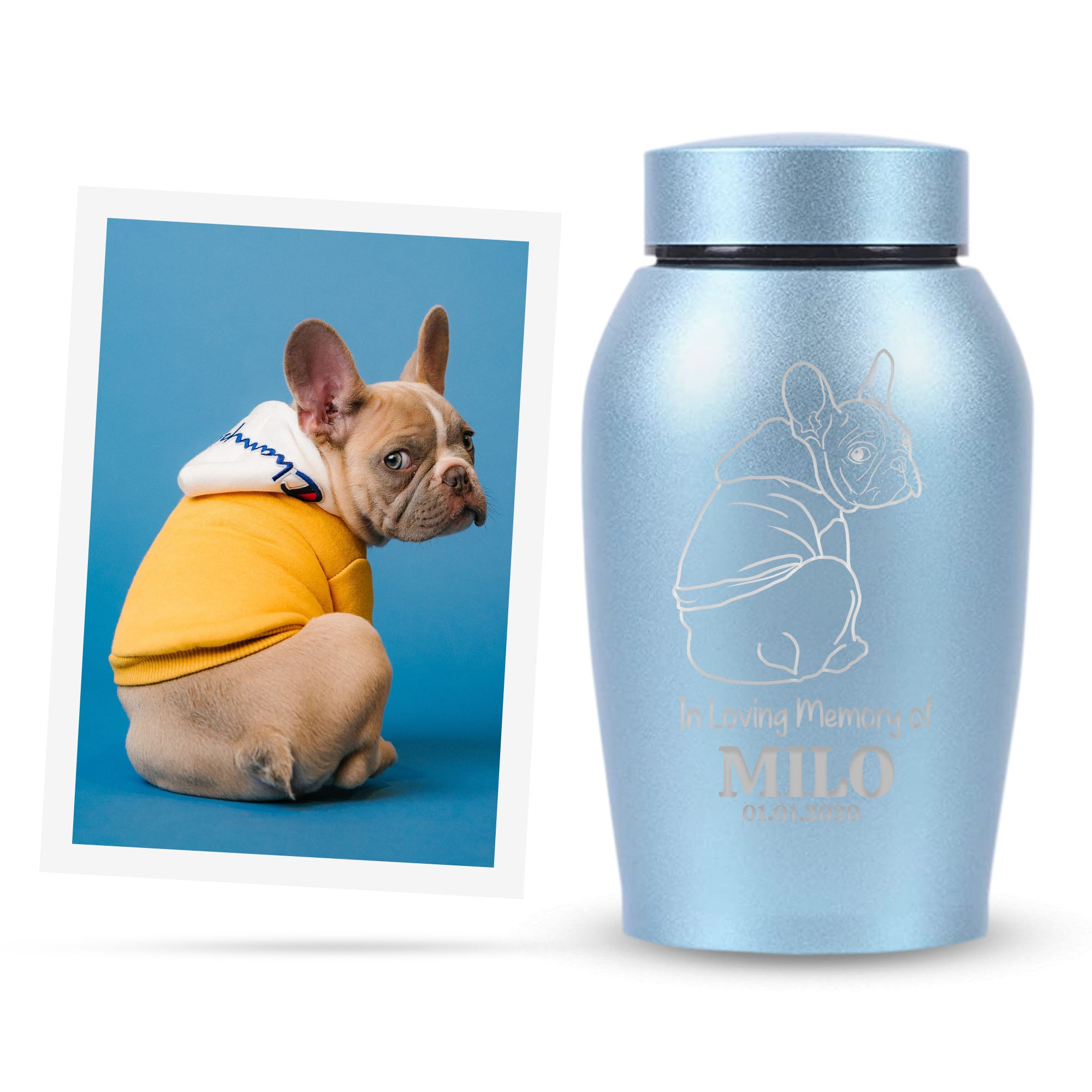 Custom Engraved Pet Memorial Urn: Personalized with Your Pet Photo/Image and Name - Stainless Steel Cremation Urns for Dogs Ashes with Airtight Closure, Up to 50 Lbs Capacity | Powder Blue, 7" x 5"