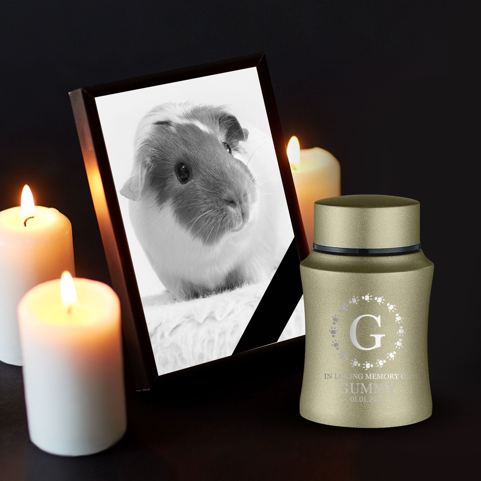 Custom Small Pet Urn for Guinea Pigs - Laser Engraved - Fit up to 10lbs - Powder Coated Stainless Steel Urn