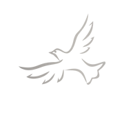 Custom Aluminum Human Urn - Memorial Dove - Elite Collection with Gold Inlay - 200 Cubic Inch