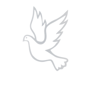 Custom Aluminum Human Urn - Memorial Dove - Elite Collection with Gold Inlay - 200 Cubic Inch