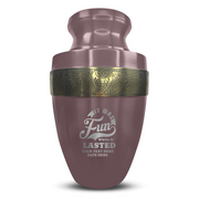 Custom Aluminum Human Urn - Dark Humor Design - Elite Collection with Gold Inlay - 200 Cubic Inch