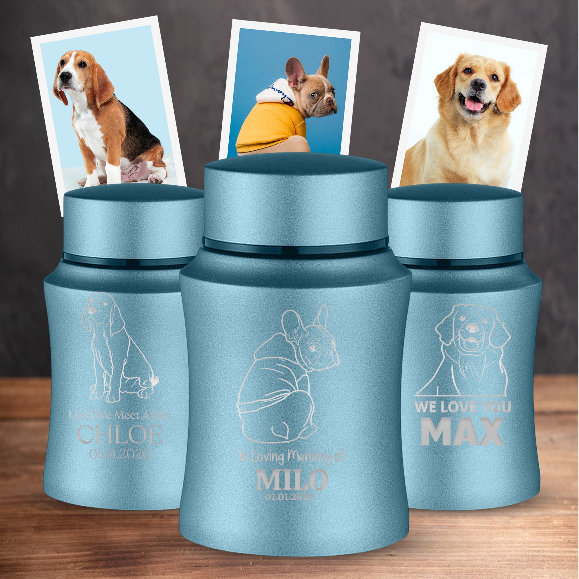 Custom Engraved Pet Photo/Image Keepsake Urn - Personalized with Pet Name, Date, and Pet Image - 4" Powder Coated Steel Cremation Mini Compact Urn for Pets Ashes, Washed Gold , Powder Blue , Gray | 5–10 Lbs Capacity