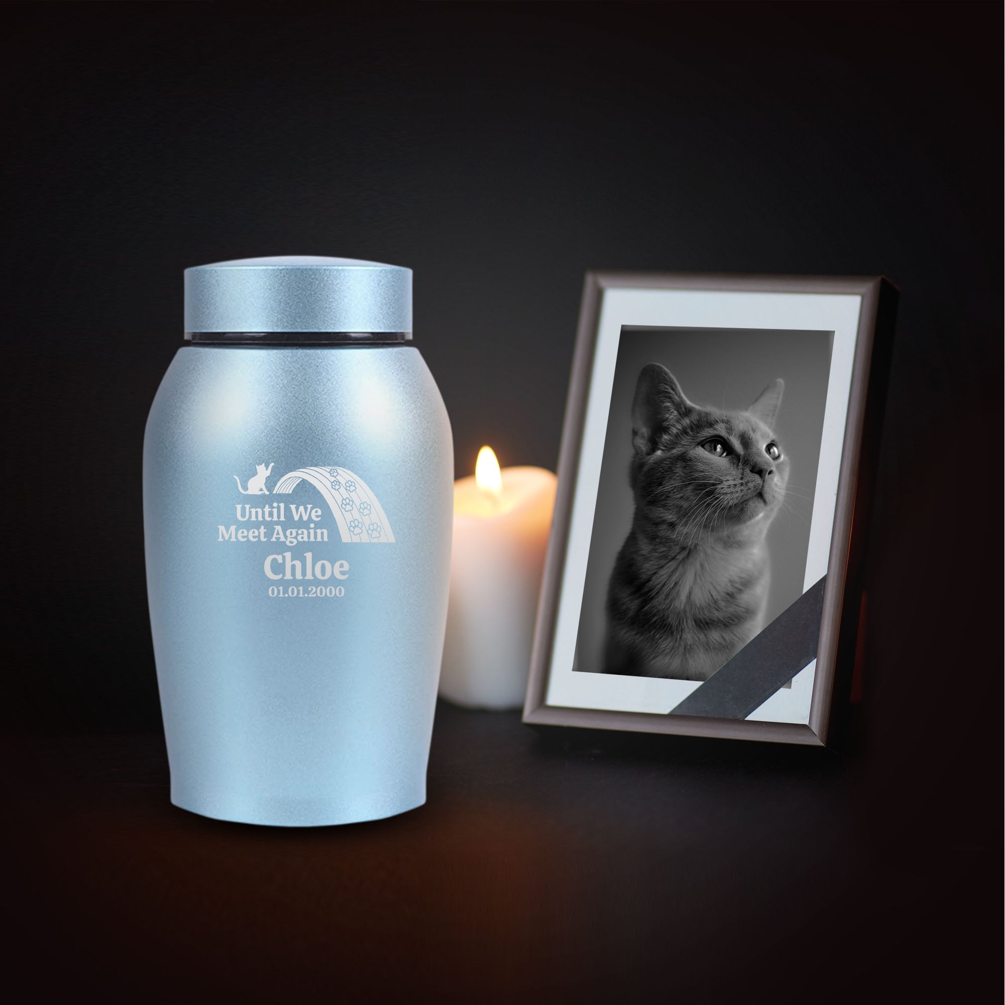 Personalized Custom Cat Urn Engraved Cat Breed, Name and Date - Stainless Steel cremation urns for cats ashes with Airtight Closure, Powder Blue, Cat Borders