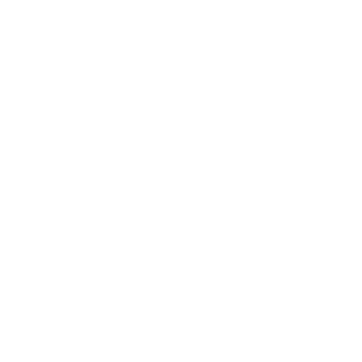 Navigate back to Inscrybed Memory homepage