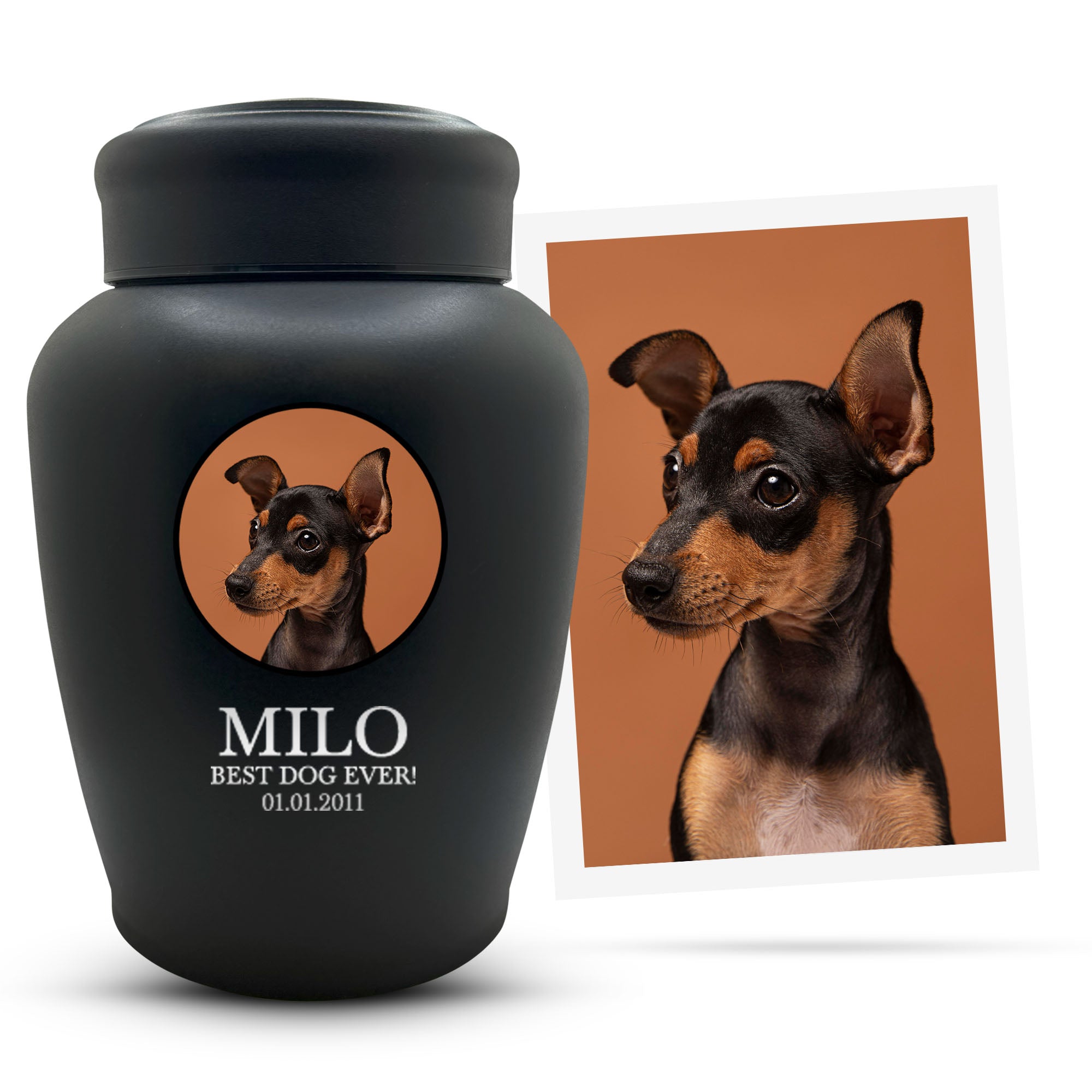 Personalized Custom Photo Dog Urn Engraved Dog Name and Date Stainless Steel Cremation Urns for Dogs Ashes with Your Pet Photo | Large Breeds Up to 150 Lbs | Large 8.2" x 6.5" | Black