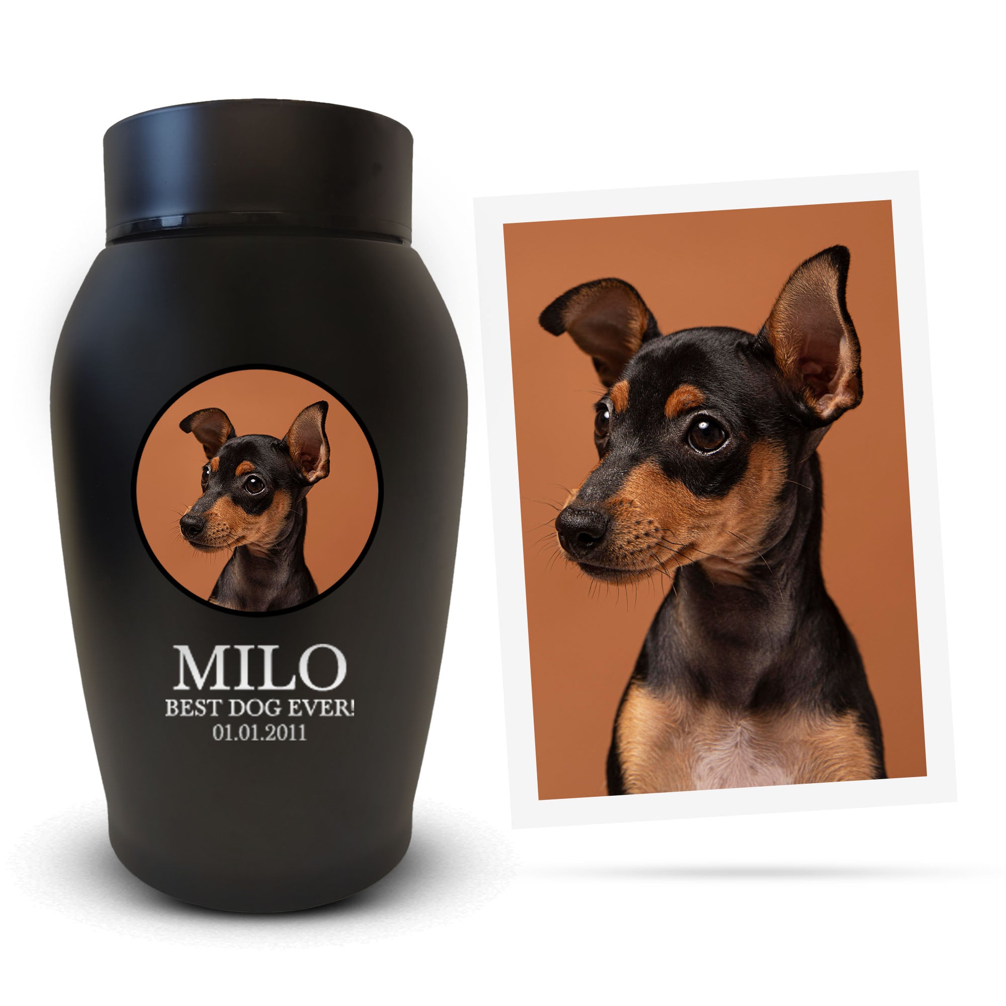 Personalized Custom Photo Dog Urn Engraved Dog Name and Date Stainless Steel Cremation Urns for Dogs Ashes with Your Dogs Photo | Medium Breeds Up to 50 Lbs | Standard 7" x 5" | Black