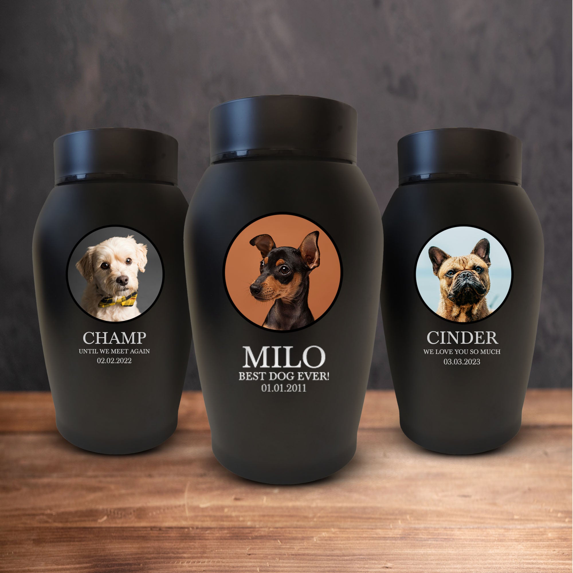 Personalized Custom Photo Dog Urn Engraved Dog Name and Date Stainless Steel Cremation Urns for Dogs Ashes with Your Dogs Photo | Medium Breeds Up to 50 Lbs | Standard 7" x 5" | Black