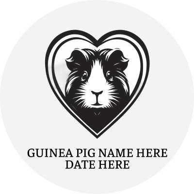 Guinea Pigs