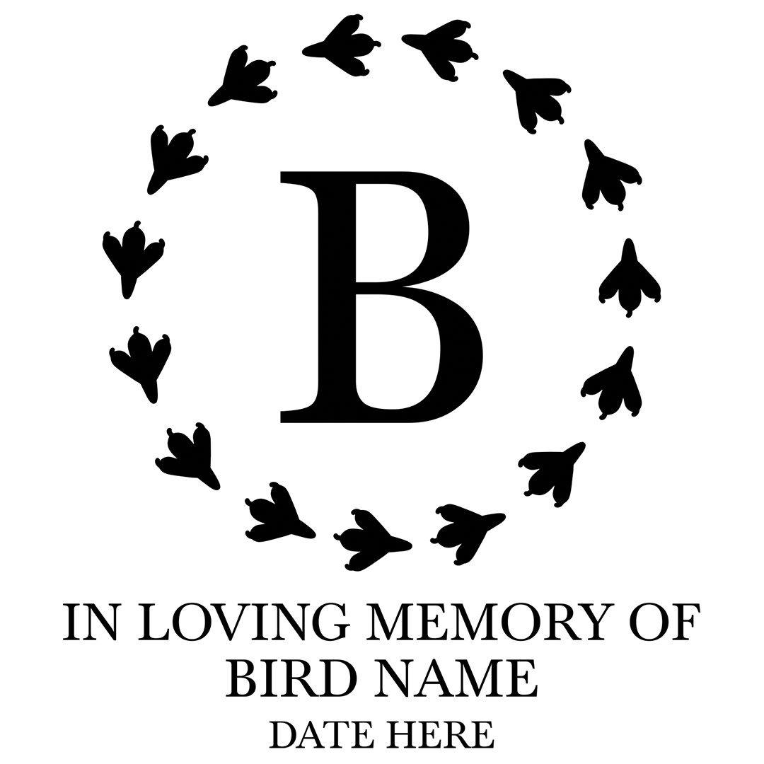 Bird Foot Print Circular Frame